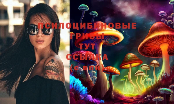 МДПВ Вяземский