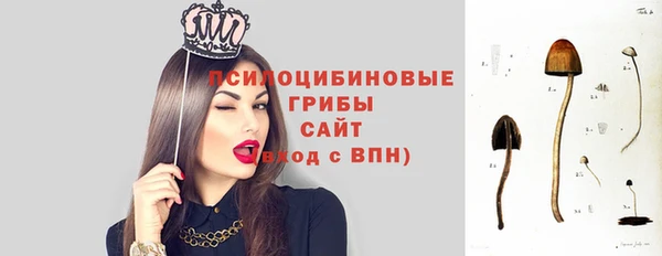 не бодяженный Тобольск