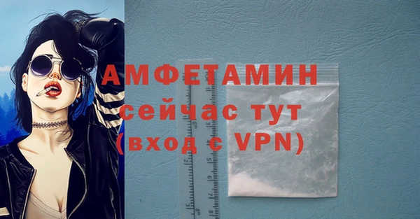 МДПВ Вяземский