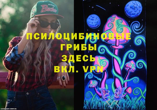 амф Вязьма